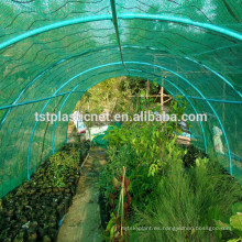 Redes de color verde, negro y verde Agro Shade Nets, Nursery Shade Net UV estabilizado